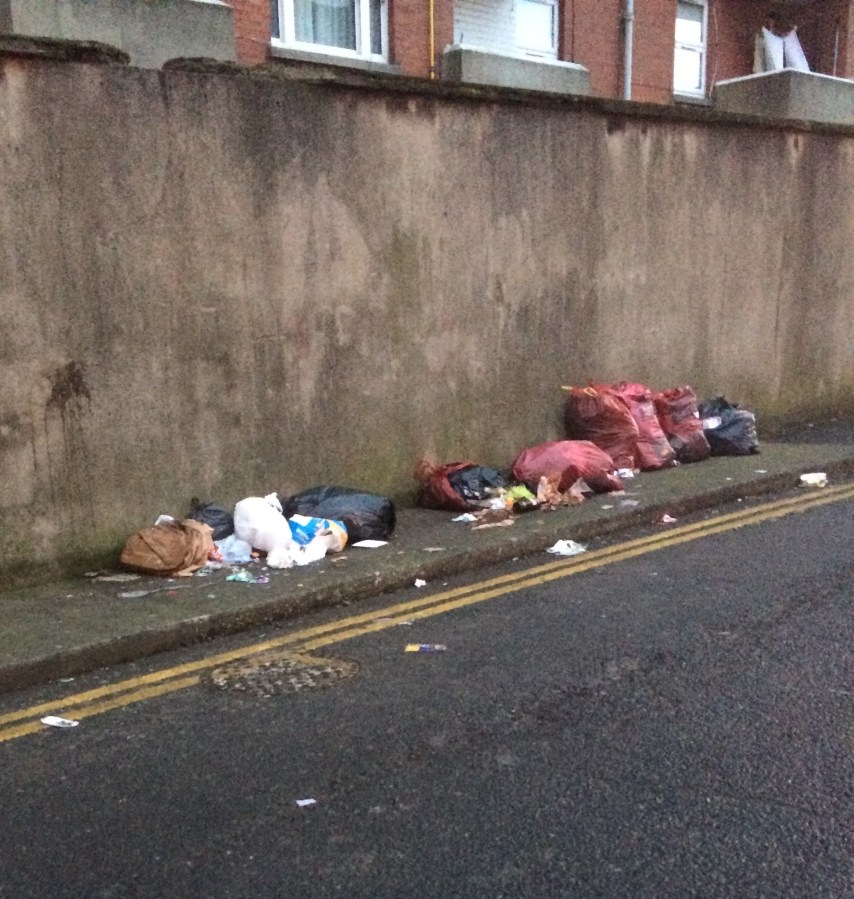 Cathedral_lane_D8_Jan_23_2015