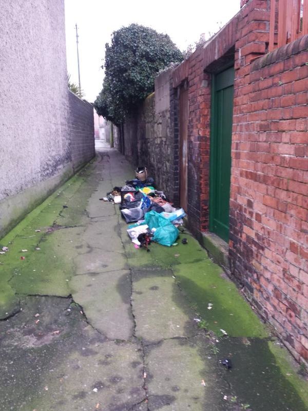 Connaught_St_laneway_D7_Jan_22_2015