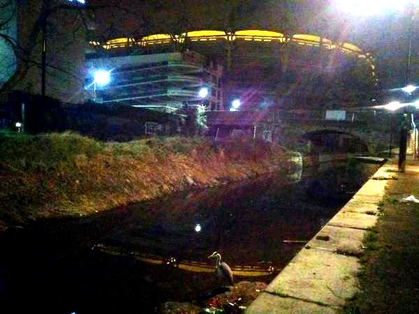 Royal_Canal_Bank_near_Jones'_Rd_D3_Mar_06_2015