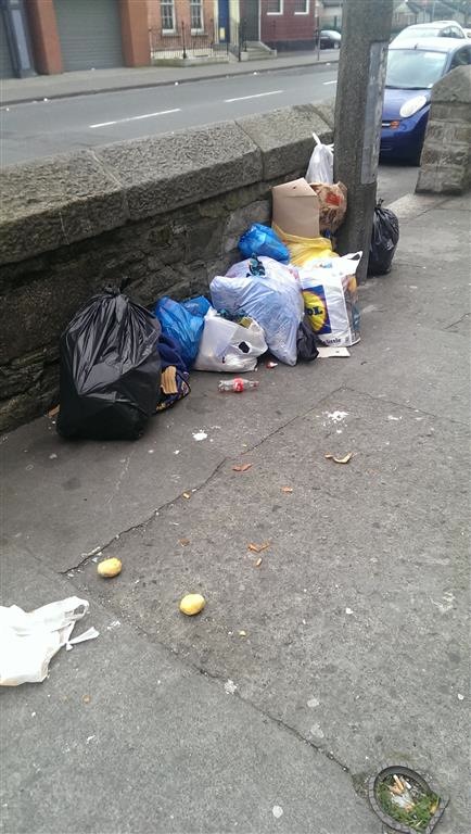 Summerhill_D1_Mar_14_2015