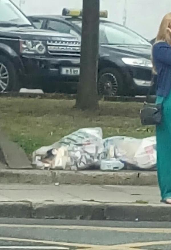 Donnybrook_D4_Jun_29_2015