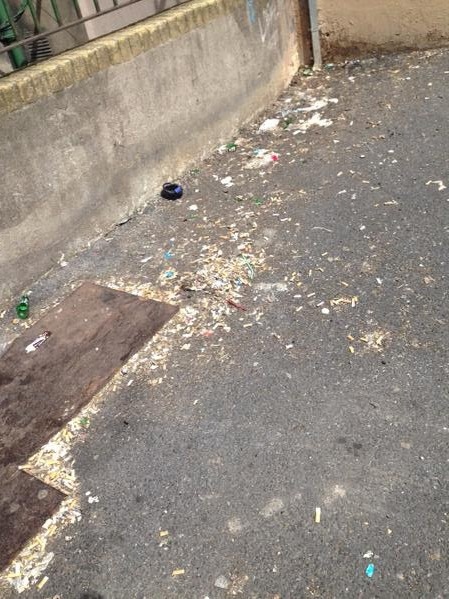 Georges_St_D2_Jun_24_2015