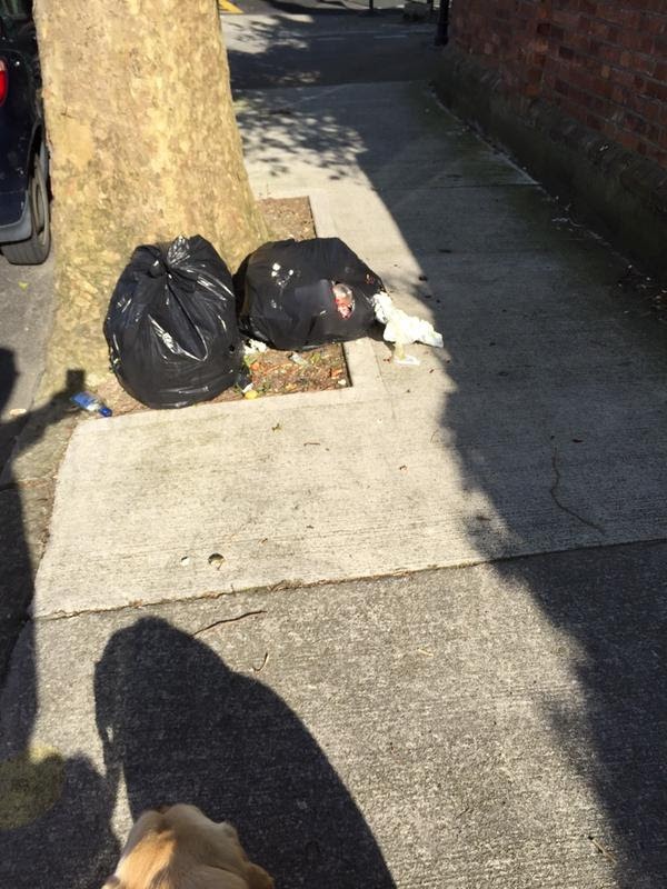 Hollybank_Rd_D9_Jun_09_2015