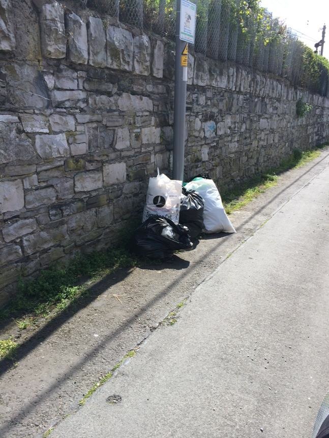 Stoney_Rd_D3_Jun_21_2015