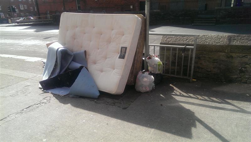 Summerhill_D1_Jun_15_2015