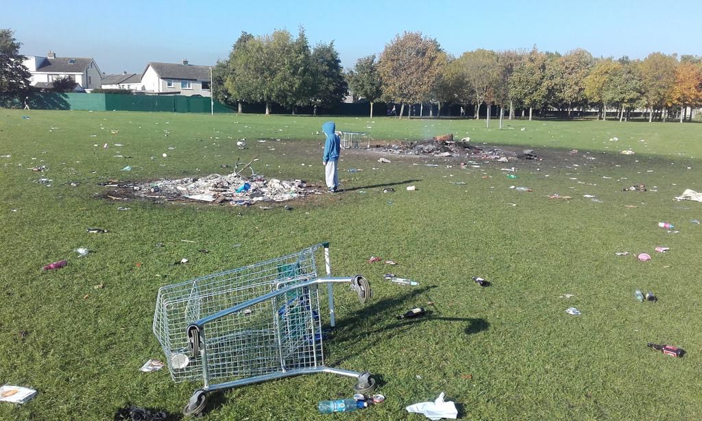 Donaghmede_Park_D13_Nov_02_2015