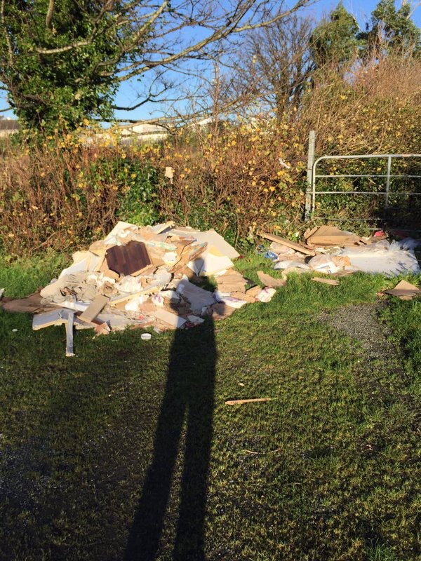 Royal_Canal_nr_Shandon_D7_Dec_20_2015