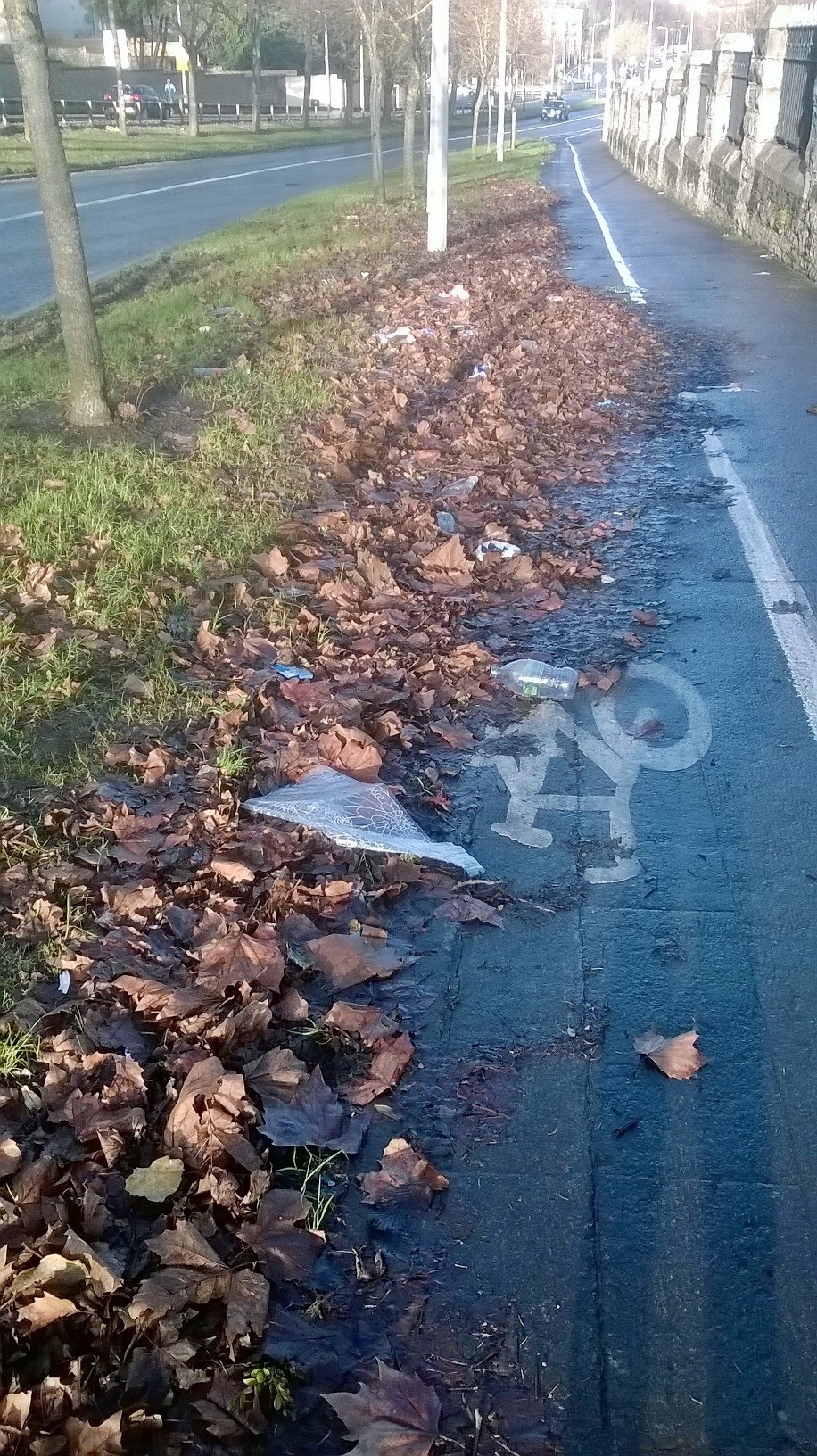 Finglas_Rd_by_Glasnevin_Cemetery_D9_Jan_08_2016