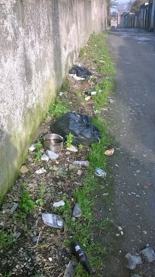 Laneway_Off_DeCourcy_Sq_D9_Jan_28_2016