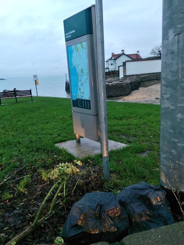 Sandycove_Beach_Co_Jan_14_2016