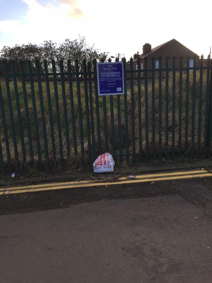 St_Patricks_Pde_D9_Jan_25_2016