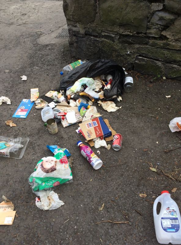 Pigeon_House_Rd_D4_Mar_13_2016