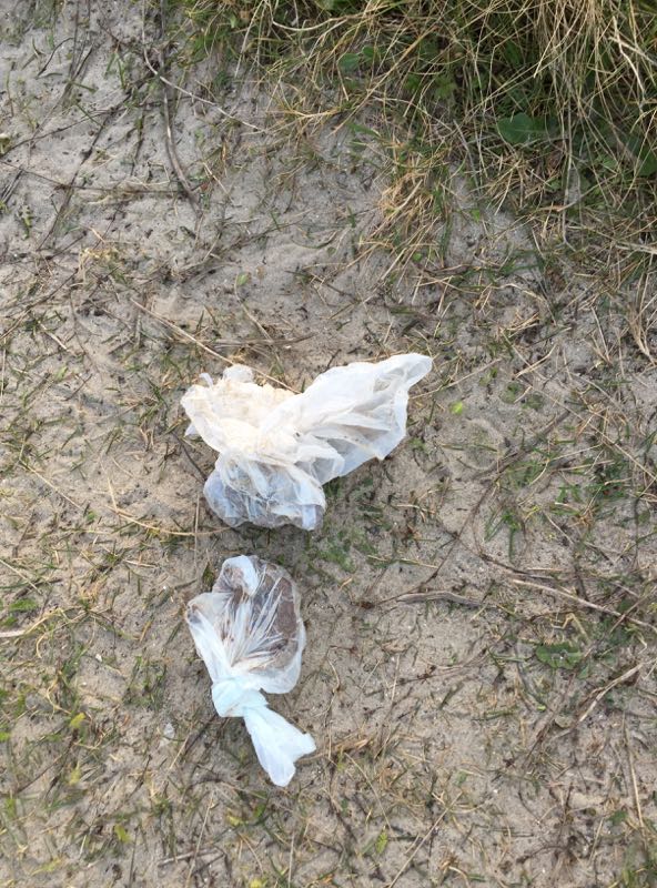 South_Bull_Wall_D4_Mar_17_2016_#4