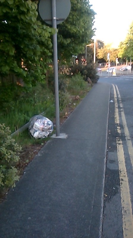 Slaney_Rd_D11_May_31_2016