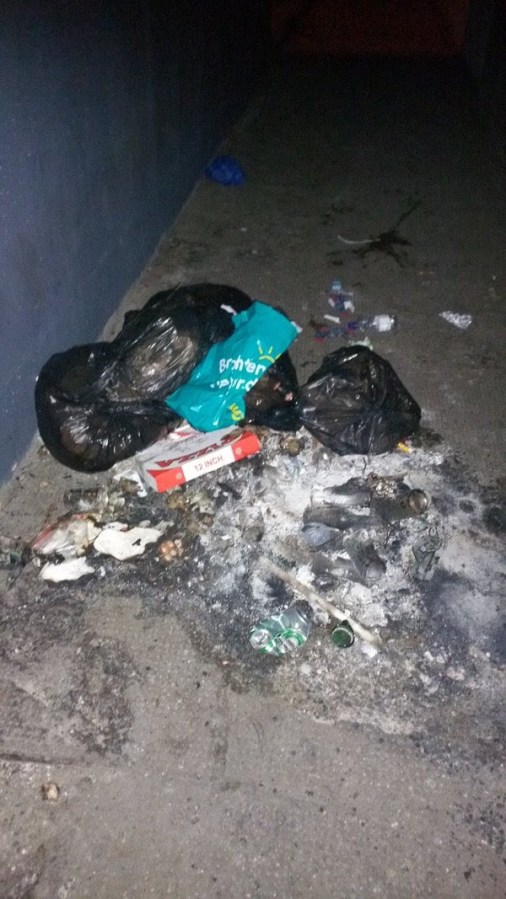 Tolka_Valley_Park_D11_May_24_2016