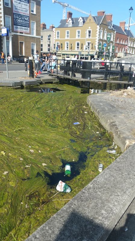 Grand_Canal_Portobello_D8_May_30_2016