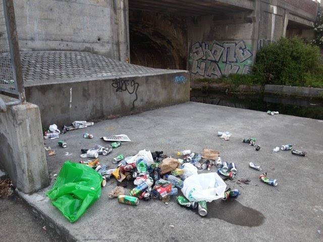 Royal_Canal_nr_Croker_D3_Jun_07_2016