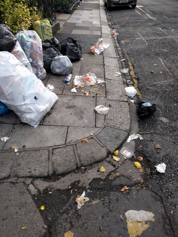 Sherrard_St_Upr_D1_Jul_27_2016