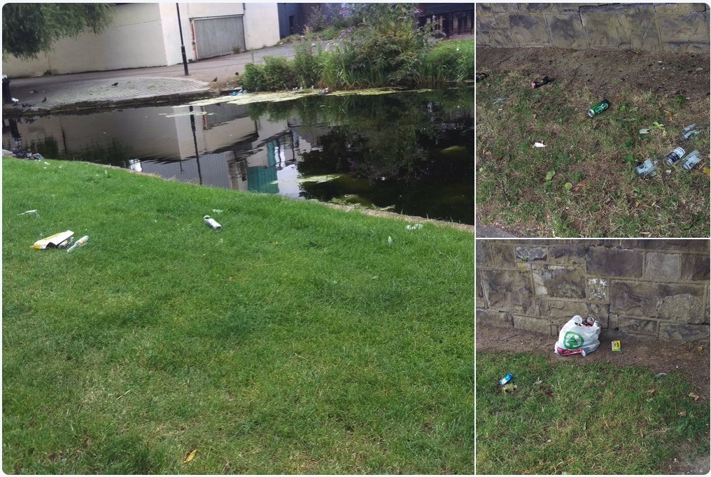 Royal_Canal_D9_Aug_10_2016