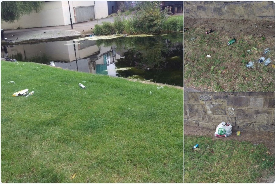 Royal_Canal_D9_Aug_10_2016