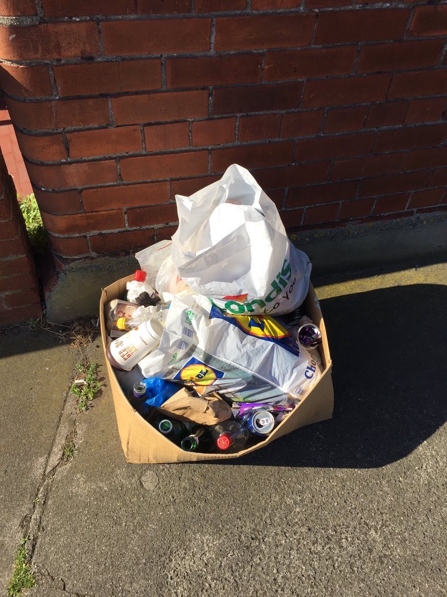 Lomond_ave_D3_Jul_18_2017